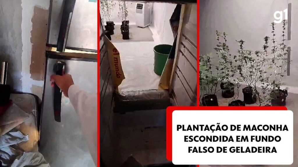 policia-flagra-passagem-secreta-dentro-de-geladeira-que-escondia-plantacao-de-maconha;-video